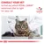 Consult your vet to find out which Royal Canin veterinary diet is right for your cat. Veterinary Nutrition branding shown above a cat being examined by a vet.