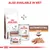 Royal Canin Gastrointestinal Low Fat food available in both dry and wet loaf forms, with packaging and product shown. Text: Also available in wet. Gastrointestinal Low Fat Loaf.