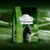 Pachet hrană pentru pisici Wild Freedom Green Lands, 400g, text vizibil: 100% grain-free recipe, lots of fresh poultry meat & lamb, imagine cu pisică și peisaj verde.