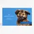 Wisdom Panel™ Essential Dog DNA Test - 1 Test