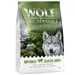 Wolf of Wilderness “Untamed Grasslands” hevonen – viljaton - 1 kg