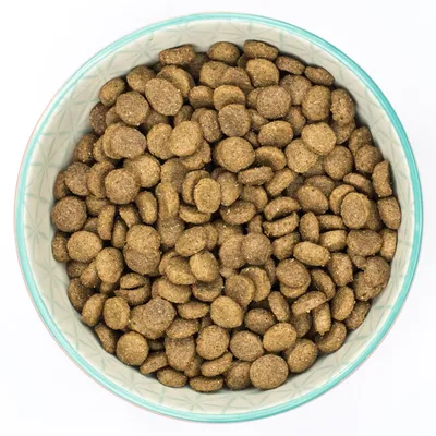 Bowl filled with round, brown dry pet food kibble pieces shown from above to display shape and texture.