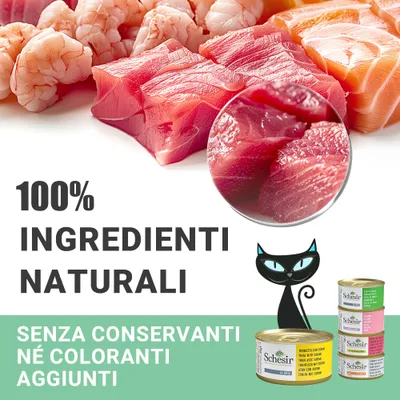 100% ingredienti naturali. Senza conservanti né coloranti aggiunti. Schesir. Immagine di pesce crudo, gamberi e lattine di cibo per gatti Schesir.