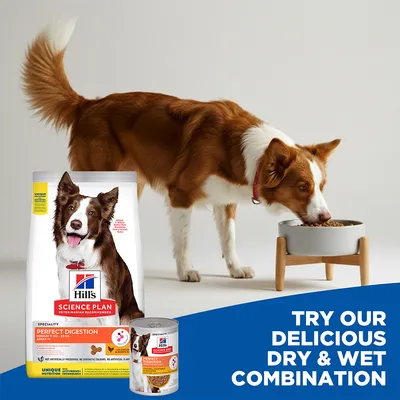 Hill's Science Plan Perfect Digestion Adult 1+ Medium with Chicken & Brown Rice