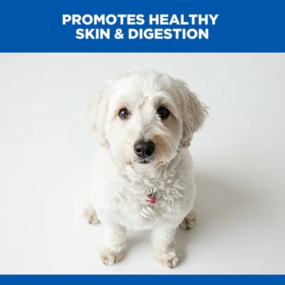 Hill's Science Plan Hypoallergenic Adult 1 - 6 Medium with Salmon Hill's Science Plan Hypoallergenic Adult 1 - 6 Medium with Salmon