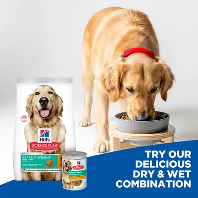 Hill's Science Plan Perfect Weight Adult 1+ Large with Chicken