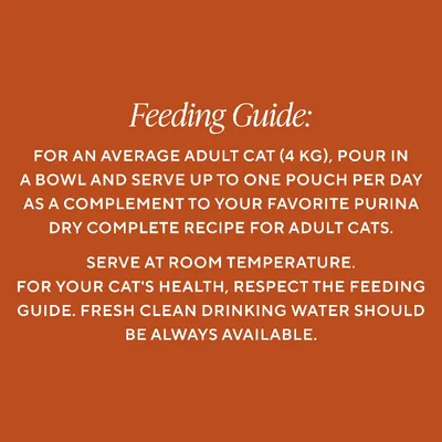 Gourmet Soup Royale 6 x 45g