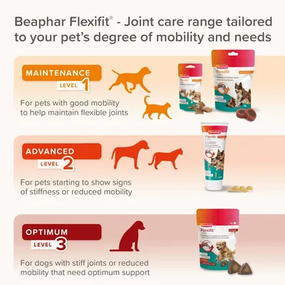 Beaphar Flexifit joint care range with three levels: Maintenance for good mobility, Advanced for stiffness or reduced mobility, Optimum for stiff joints or low mobility needing support.