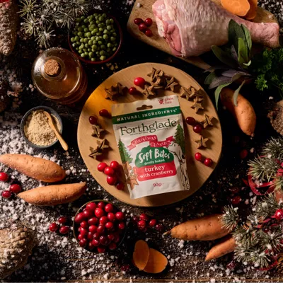 Forthglade Christmas Soft Bites - Turkey & Cranberry - 90g Forthglade Christmas Soft Bites - Turkey & Cranberry - 90g