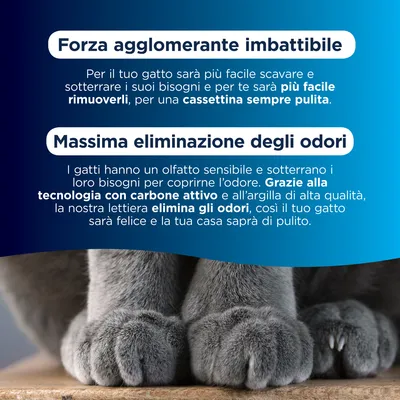 Lettiera agglomerante Ever Clean® Extra Strong - senza profumo