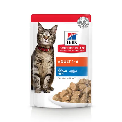 Hill's Science Plan Adult 1-6 met ocean fish, stukjes en saus. Verpakking toont een kat en een kom met vleesstukjes in saus.