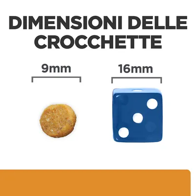 Dimensioni delle crocchette: confronto tra una crocchetta da 9 mm e un dado blu da 16 mm. Testo visibile: 'DIMENSIONI DELLE CROCCHETTE', '9 mm', '16 mm'.