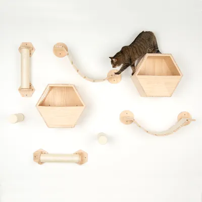 Kletterwand-Set aus Holz mit sechseckigen Boxen, Sisalrollen und Brücken. Katze demonstriert Nutzung der Wandmodule.
