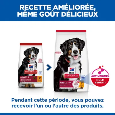 Hill's Science Plan Adult 1-5 Large poulet pour chien