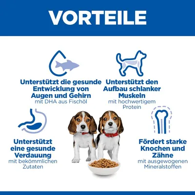 Hill's Science Plan Puppy <1 Medium mit Huhn