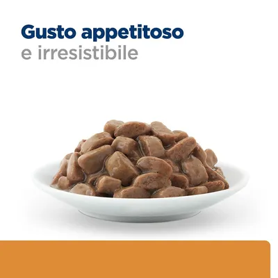 Ciotola con bocconcini di cibo umido marrone in salsa. Testo visibile: Gusto appetitoso e irresistibile.