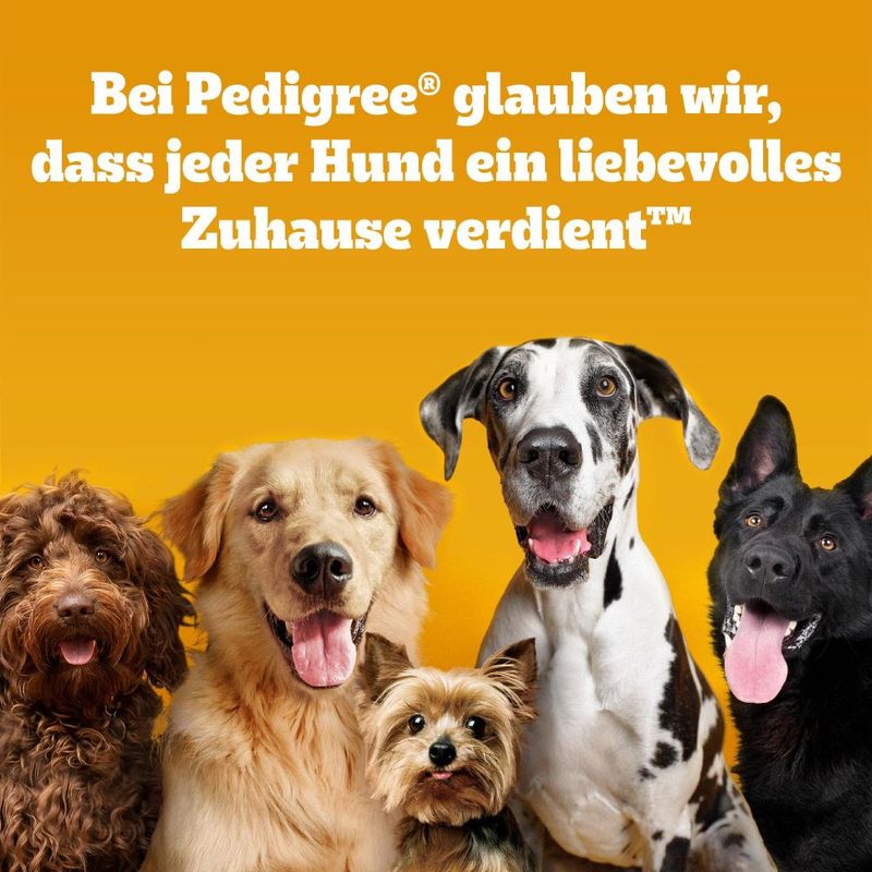 Pedigree Riesenknochen Medium