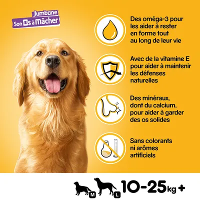 Jumbone Son Os à Mâcher, pour chiens 10–25 kg. Oméga-3, vitamine E, minéraux dont calcium, sans colorants ni arômes artificiels. Texte en français de Belgique.
