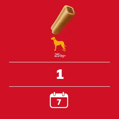 Pedigree Riesenknochen mit Rind