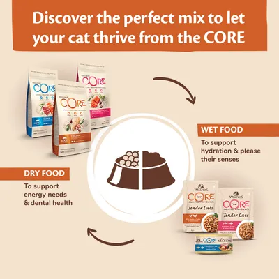 Image showing CORE dry food to support energy needs and dental health, and wet food to support hydration and please senses. Suggests mixing both for optimal benefits.