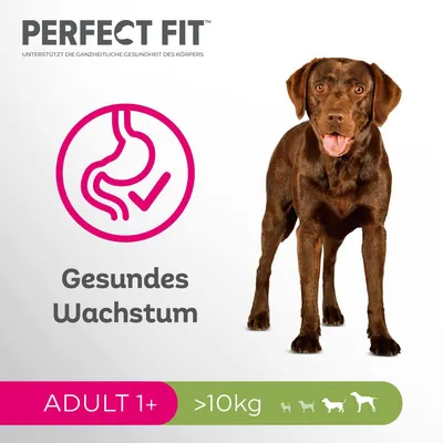 PERFECT FIT, texto em alemão: Gesundes Wachstum. ADULT 1+, mais de 10 kg. Imagem de um cão castanho e ícone rosa de estômago com visto. PERFECT FIT, texto em alemão: Gesundes Wachstum. ADULT 1+, mais de 10 kg. Imagem de um cão castanho e ícone rosa de estômago com visto.