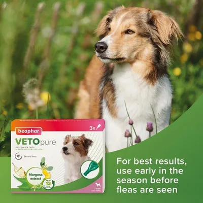 Beaphar VETO pure spot-on for dogs with margosa extract, repels fleas. Text: For best results, use early in the season before fleas are seen.
