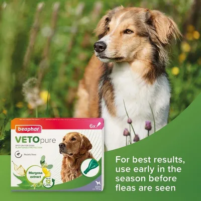 Beaphar VETOpure spot-on for dogs with margosa extract, repels fleas. Text: For best results, use early in the season before fleas are seen.