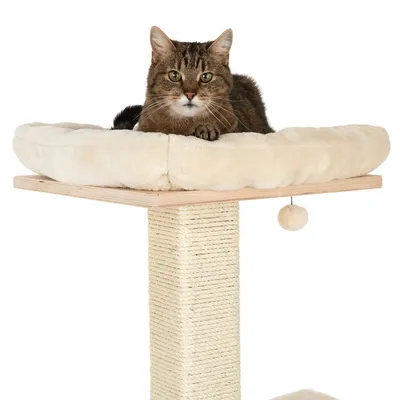 Rascador para gatos con poste de sisal, base y plataforma de madera clara, cama acolchada beige en la parte superior y bola colgante. Gato atigrado tumbado sobre la cama.