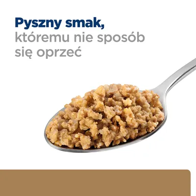 Pyszny smak, któremu nie sposób się oprzeć – widoczny tekst oraz łyżka z mokrą karmą dla zwierząt na białym tle.