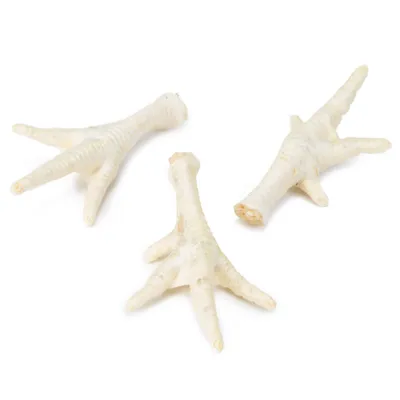 Three dried chicken feet as a natural snack for pets, whitish with rough surface.