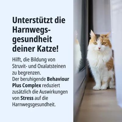 Unterstützt die Harnwegsgesundheit der Katze. Begrenzung von Struvit- und Oxalatsteinen. Behaviour Plus Complex reduziert Stress-Auswirkungen auf die Harnwege. Unterstützt die Harnwegsgesundheit der Katze. Begrenzung von Struvit- und Oxalatsteinen. Behaviour Plus Complex reduziert Stress-Auswirkungen auf die Harnwege.