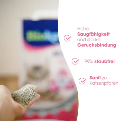 Hohe Saugfähigkeit und starke Geruchsbindung, 99% staubfrei, sanft zu Katzenpfoten. Hand hält Katzenstreu vor Verpackung im Hintergrund.