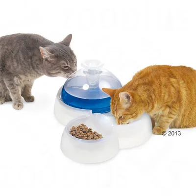Due gatti mangiano e bevono da una fontanella in plastica bianca con ciotole integrate per acqua e crocchette.