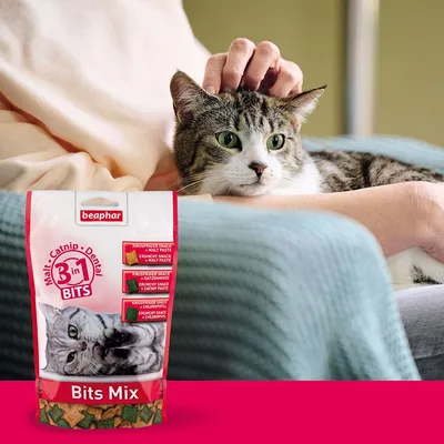 Confezione di snack per gatti beaphar Bits Mix 3 in 1, visibili le scritte: Malt, Catnip, Dental, Crunchy Snack, Malt Paste, Catnip Paste, Chlorophyll. Gatto seduto su una persona.