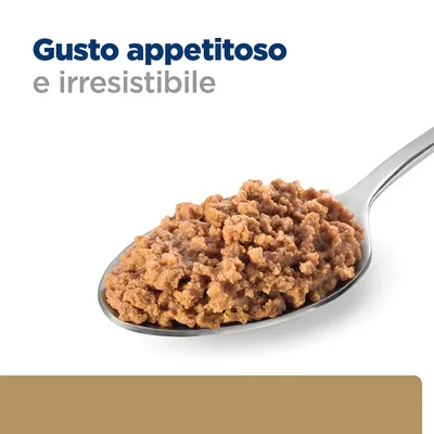Gusto appetitoso e irresistibile, testo visibile sopra una cucchiaio con cibo umido per animali.