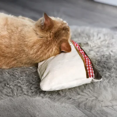 Котка лежи с глава върху малка възглавница с бял плат и червена каре лента, поставена върху сив пухкав килим.