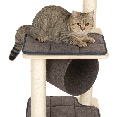 Kratzbaum mit braunen Polsterflächen, Sisalstämmen und einer liegenden Katze auf der oberen Plattform.