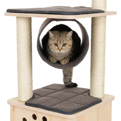 Kratzbaum mit Holzbasis, Sisalstämmen, gepolsterten Liegeflächen und Tunnel. Katze sitzt im Tunnel.