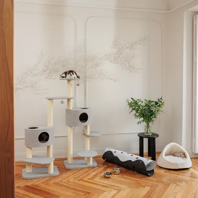 Cat tree with multiple levels and caves, next to it a cat bed, play tunnel and food bowls. One cat is lying on top of the cat tree, another is sleeping in the bed.