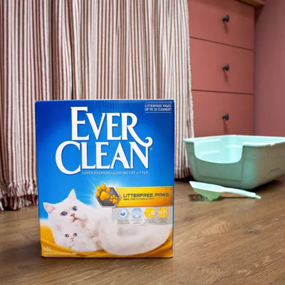 Ever Clean Super Premium Clumping Cat Litter, Litterfree Paws, ideal für Kätzchen und Katzen, 10L. Verspricht bis zu 3x sauberere Pfoten und 99,9% staubfrei.
