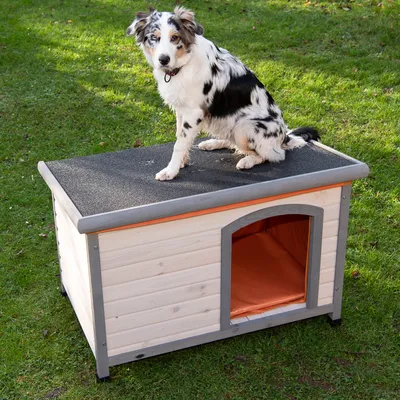 Holzhundehütte mit grauem Dach und orangefarbenem Innenraum, auf einer Wiese platziert.