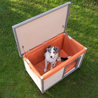Hund sitzt in einer geöffneten Hundehütte mit orangefarbenem Innenpolster und Holzrahmen, auf grünem Rasen.