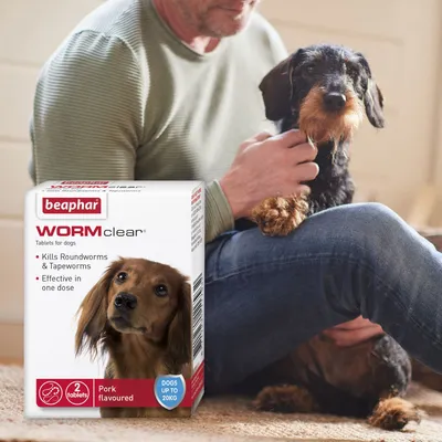 Beaphar WORMclear tablets for dogs, kills roundworms and tapeworms, effective in one dose, pork flavoured, 2 tablets, for dogs up to 20kg. Man sitting with a dog.