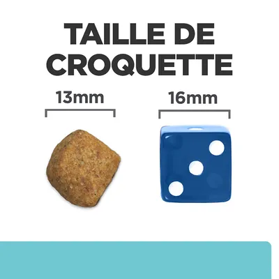 Taille de croquette : croquette de 13 mm à côté d’un dé bleu de 16 mm pour comparaison visuelle.