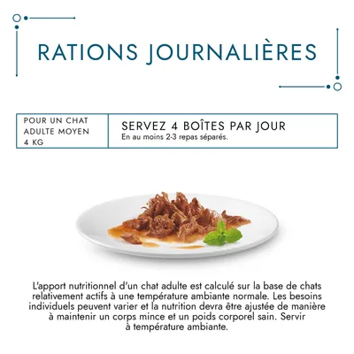 Rations journalières pour un chat adulte moyen 4 kg : servez 4 boîtes par jour en au moins 2–3 repas séparés. Illustration d’une assiette de nourriture humide pour chat.