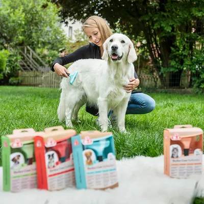 Hund wird mit einer Bürste gepflegt, im Vordergrund Verpackungen von Perfect Coat Hundepflegeprodukten in verschiedenen Farben.