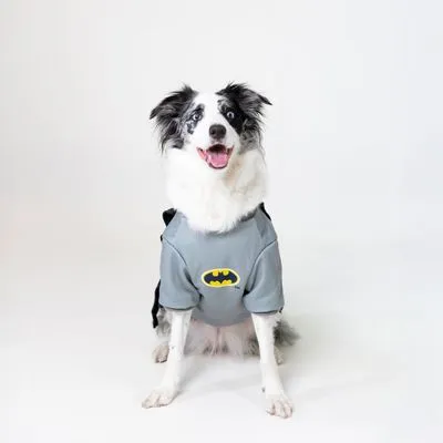 DC hondenkostuum Batman