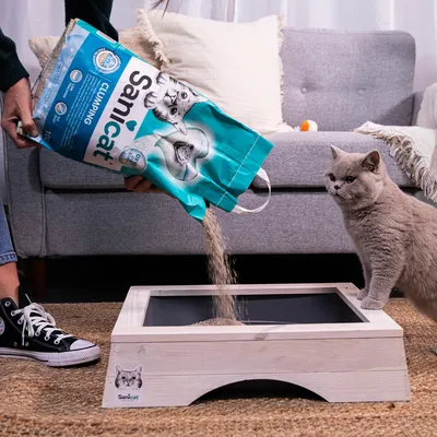 Sanicat hrudkujúca mačacia podstielka sa sype do dreveného mačacieho záchoda, sivá mačka sleduje. Obal zobrazuje logo Sanicat a detaily produktu.
