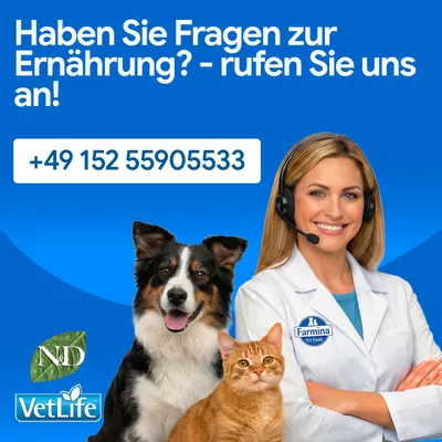Vous avez des questions sur l’alimentation ? – Appelez-nous ! Numéro de téléphone : +49 152 55905533. Farmina Pet Foods, ND, VetLife. Vous avez des questions sur l’alimentation ? – Appelez-nous ! Numéro de téléphone : +49 152 55905533. Farmina Pet Foods, ND, VetLife.