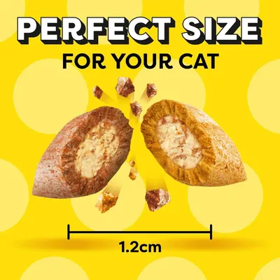 Dreamies Mix Cat Treats - Salmon & Cheese Dreamies Mix Cat Treats - Salmon & Cheese
